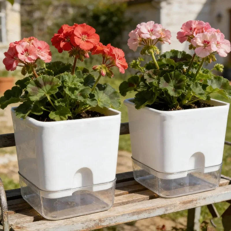 White Square Self-Watering Plant Pot | Double Layer Flowerpot