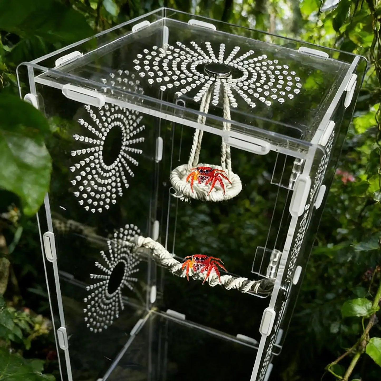 Jumping Spider Hammock & Bridge Climbing Set | Gecko Habitat