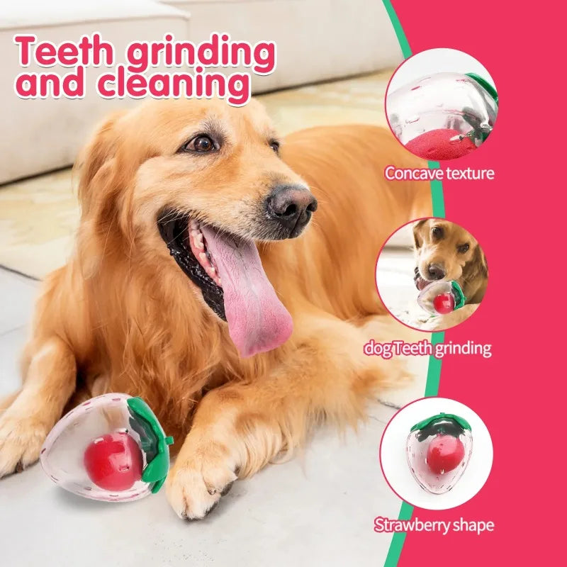 Squeaky Strawberry Dog Toy | Rubber Chew Toy for Small & Medium Dogs