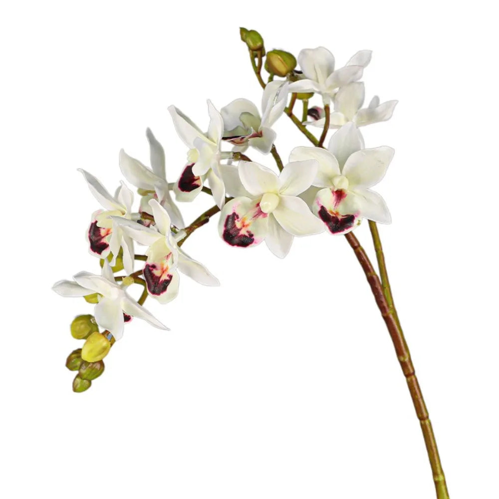 Artificial Phalaenopsis Orchid Branch | 2 Fork Real Touch 60cm