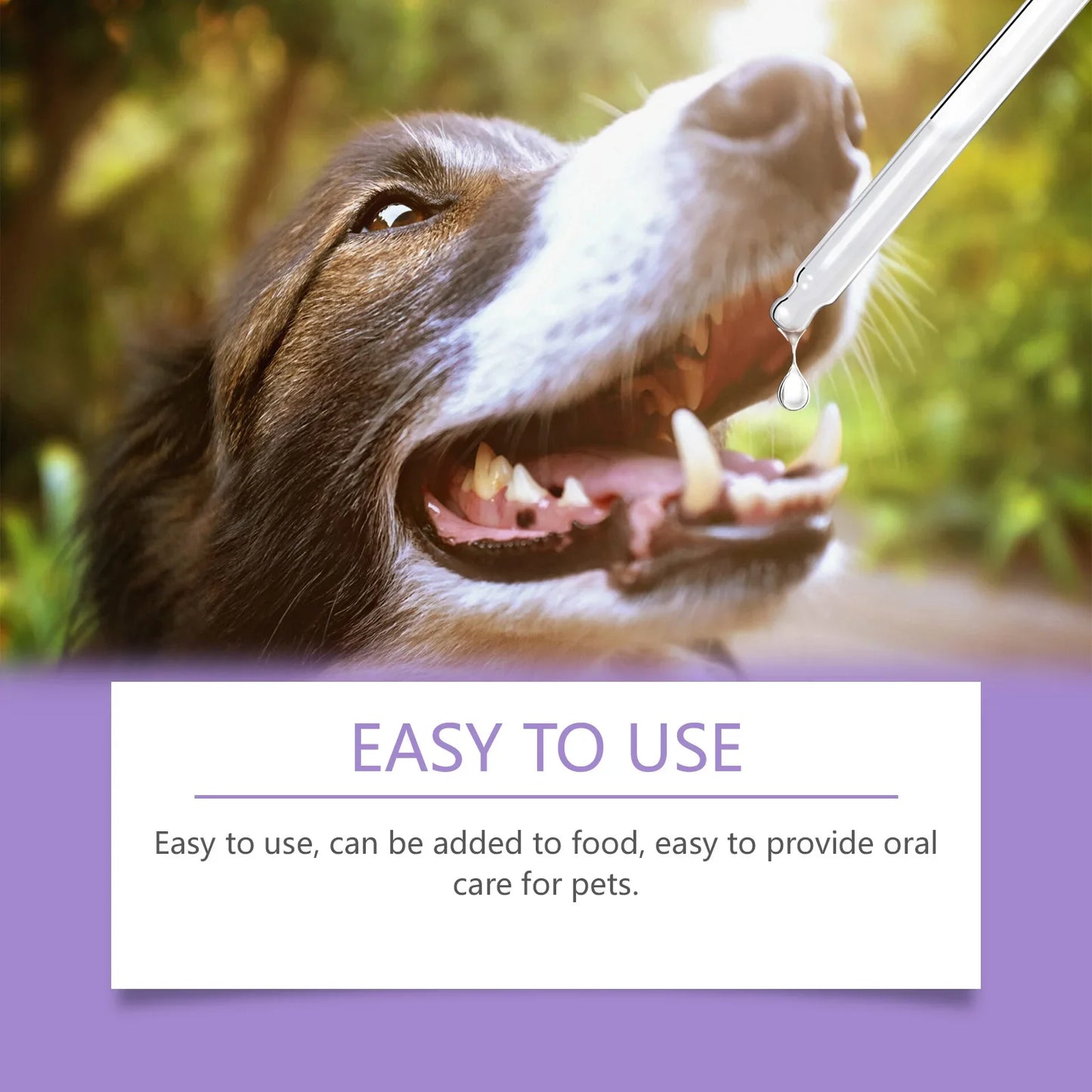 YEGBONG 50ml Pet Oral Spray – Fresh Breath, Plaque & Tartar