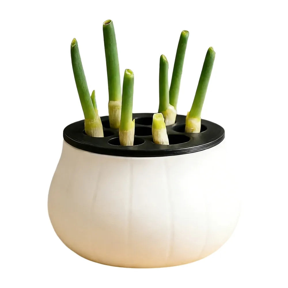 Vertical Hydroponic Green Onion Planter | 7-Hole Space-Saving