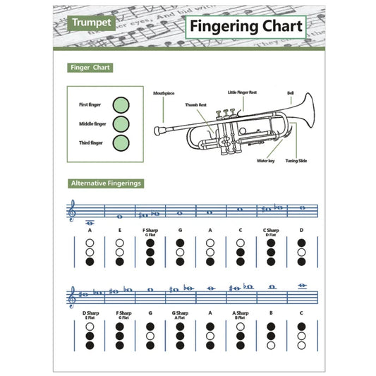 Compact Trumpet Diagrams Basic Fingering Chart Practice Tool Peaceful Pleasures Health and Wellness