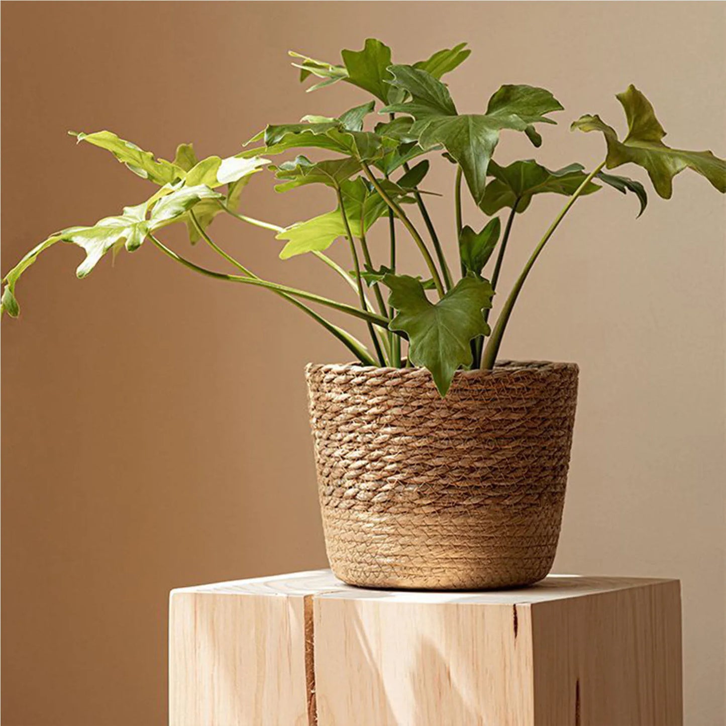 Handmade Rattan Wicker Woven Planter Basket | Flower Pot Storage