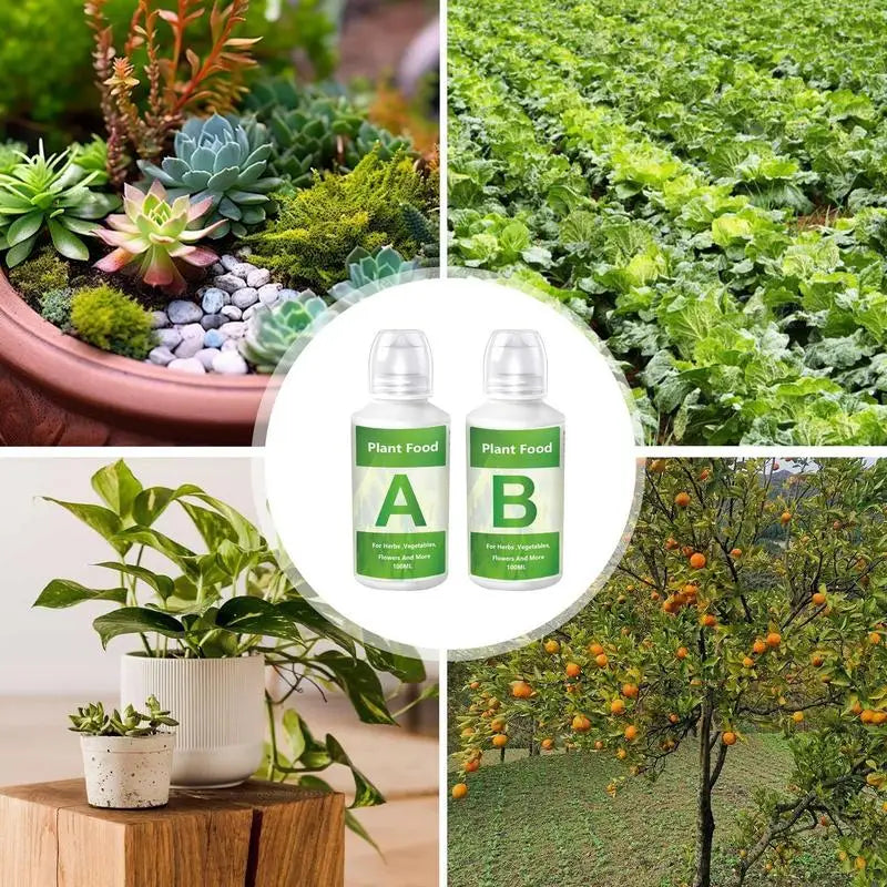 Fertilizer AB Two Part Set Hydroponic Garden Plant Food Plant Fertilizer For Flowers Vegetables Grass Nutrients Garden supplies Peaceful Pleasures Health and Wellness
