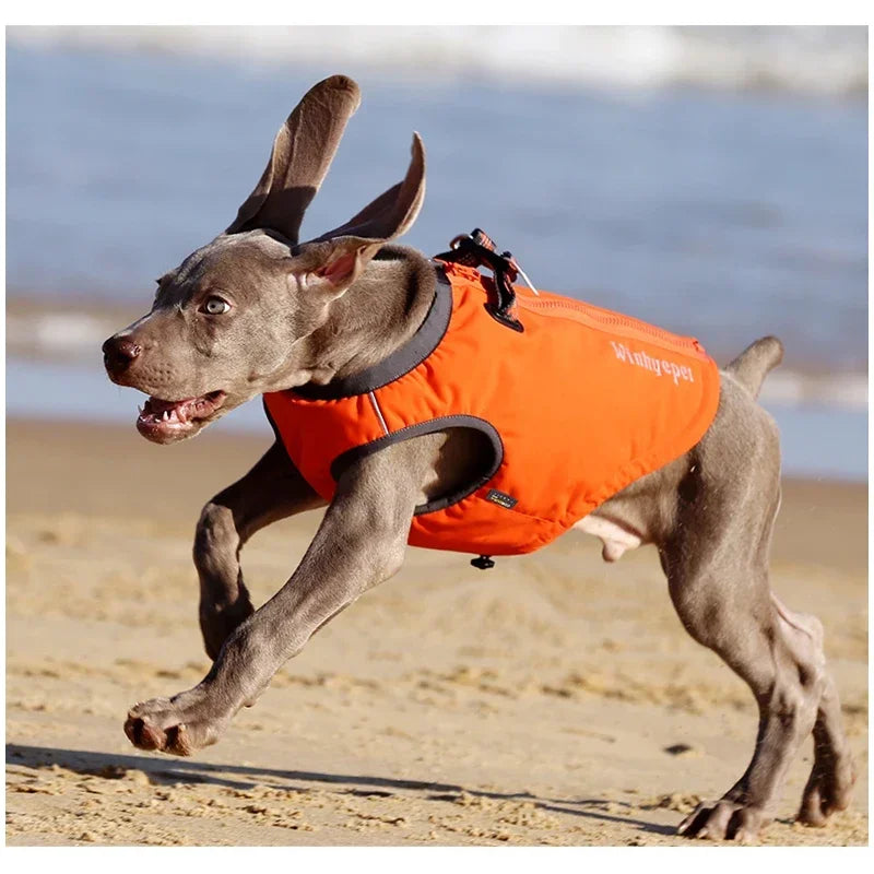 Truelove Waterproof Dog Harness Jacket Vest YG1871 Peaceful Pleasures Health and Wellness