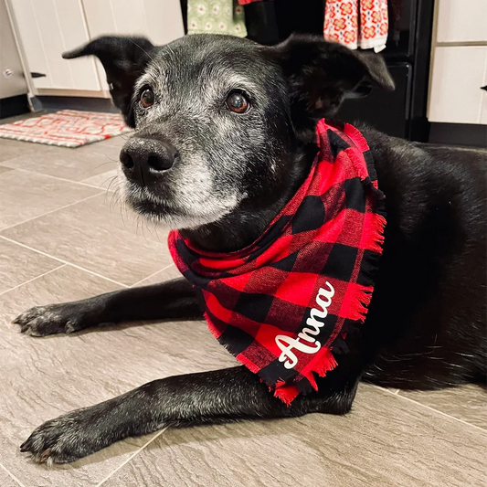 Custom Buffalo Plaid Dog Bandana | Frayed Fringe Tie-On Dog Bandana Peaceful Pleasures Health and Wellness