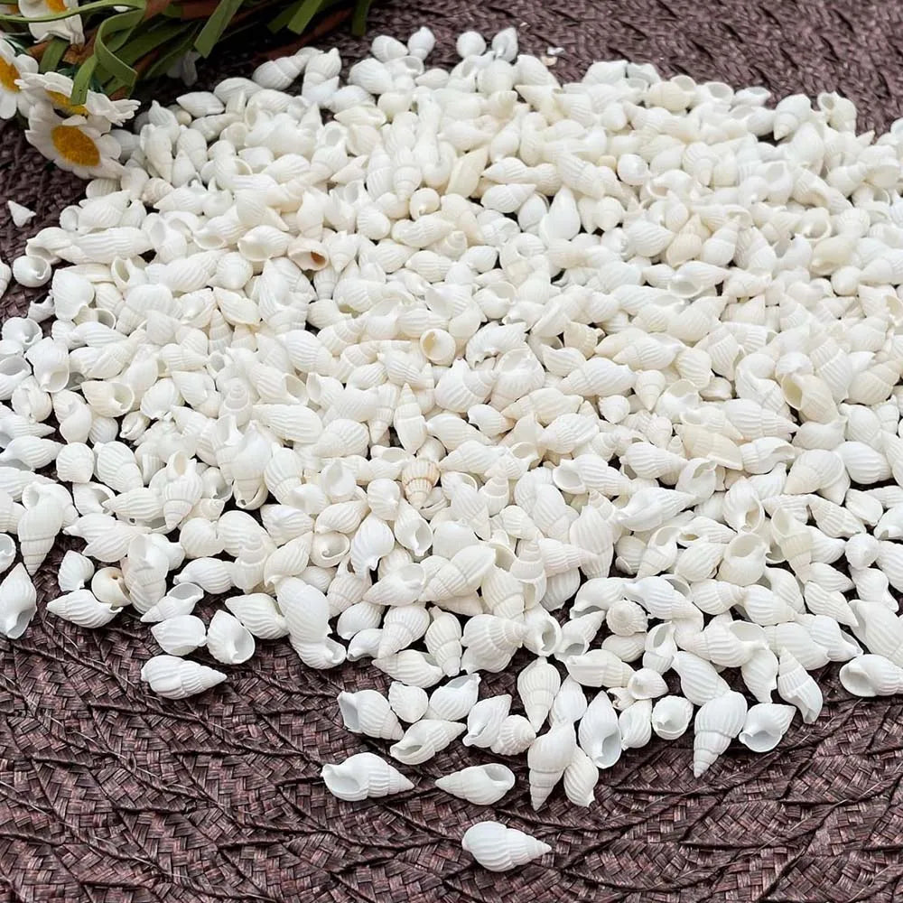 100pcs Natural White Spiral Seashell Beads for DIY Crafts & Decor