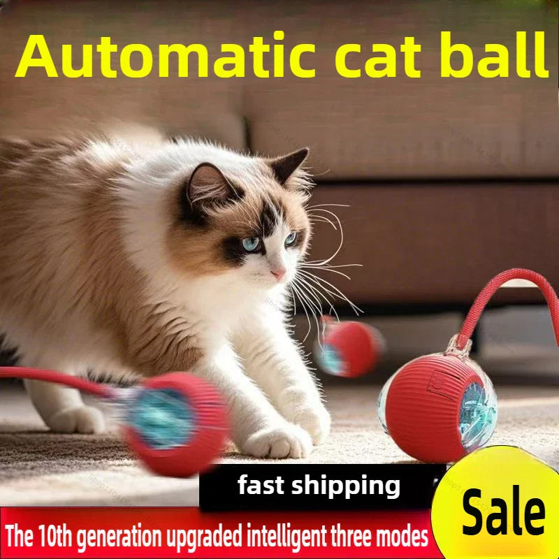 Interactive Auto Rolling Ball Toy for Cats – USB Rechargeable