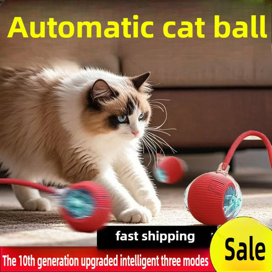 Interactive Auto Rolling Ball Toy for Cats – USB Rechargeable Interactive Cat Toy Oasis Select