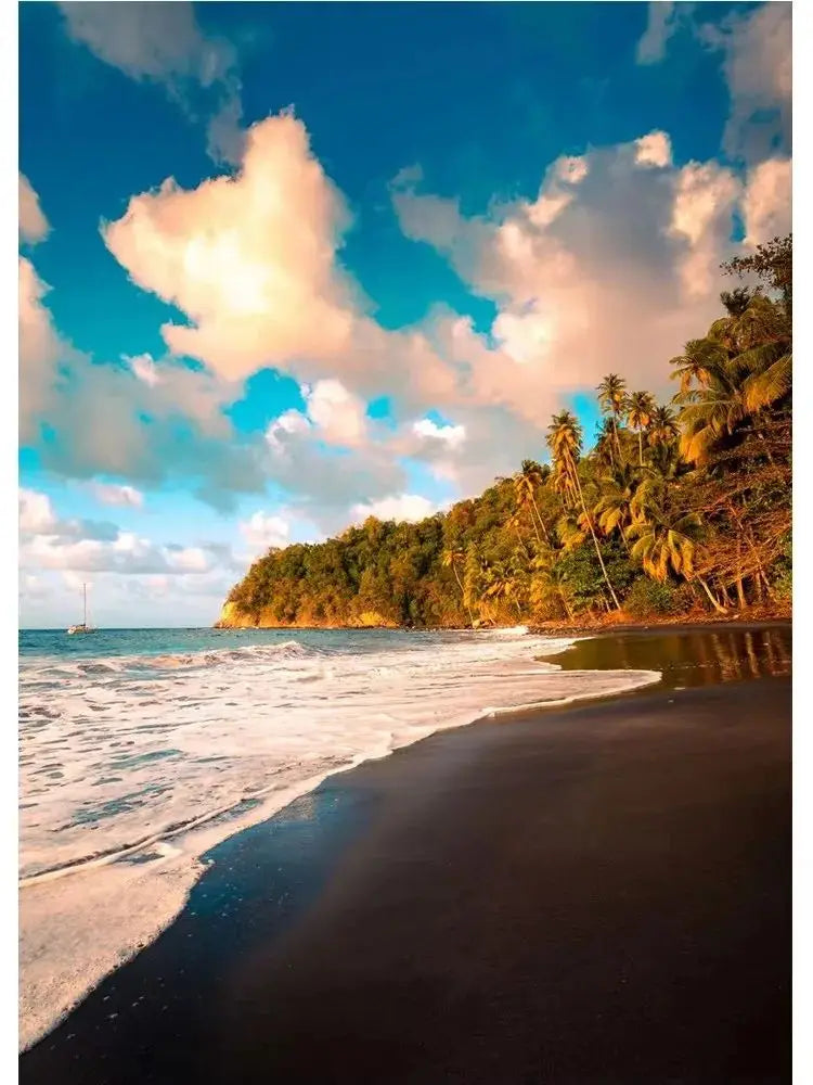 Martinique Beach Ocean Vintage Canvas Wall Art | Unframed Print