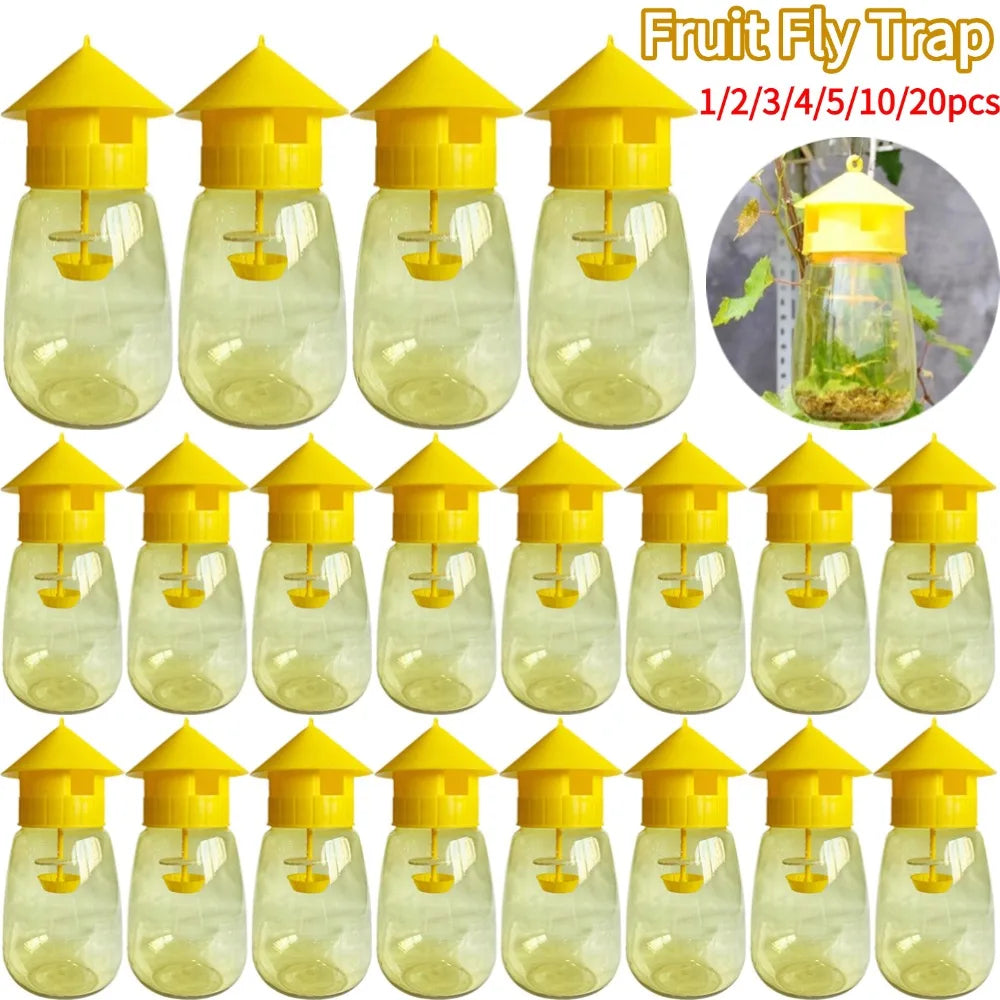 Fruit Fly Trap – Orchard & Garden Insect Catcher 1–20 Pack