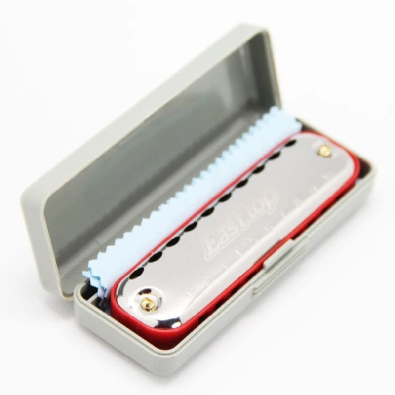 10-Hole Blues Harmonica Key C Adult Beginner Pocket Instrument Gray