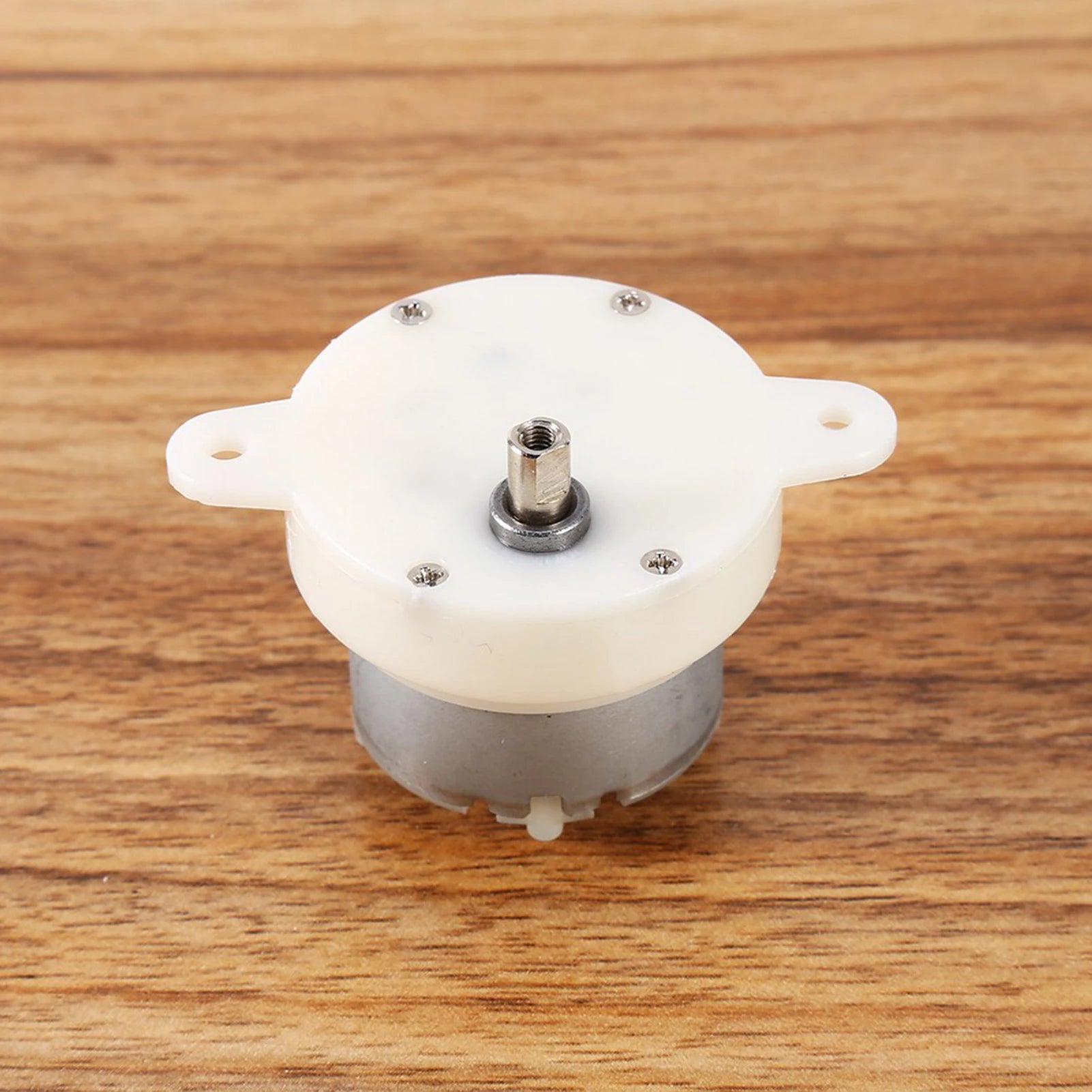 12v DC Motor High 12v DC Motor Slow Speed Electric Motor/ 3RPM 4mm Shaft Diameter Micro Motor Slow Down Mute Motor Peaceful Pleasures Health and Wellness