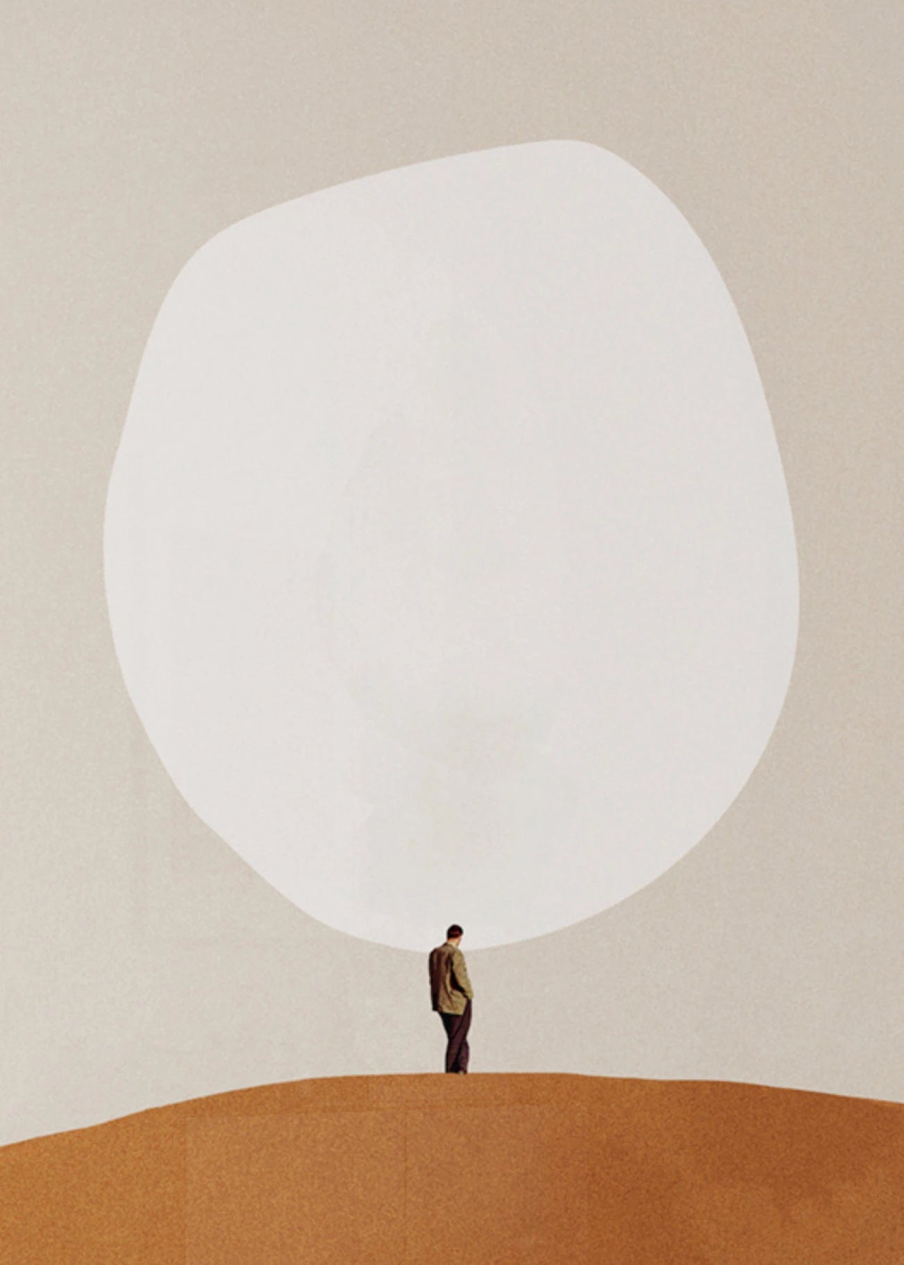 Funny Surfing Pig Minimalist Canvas Wall Art Print | Home Decor