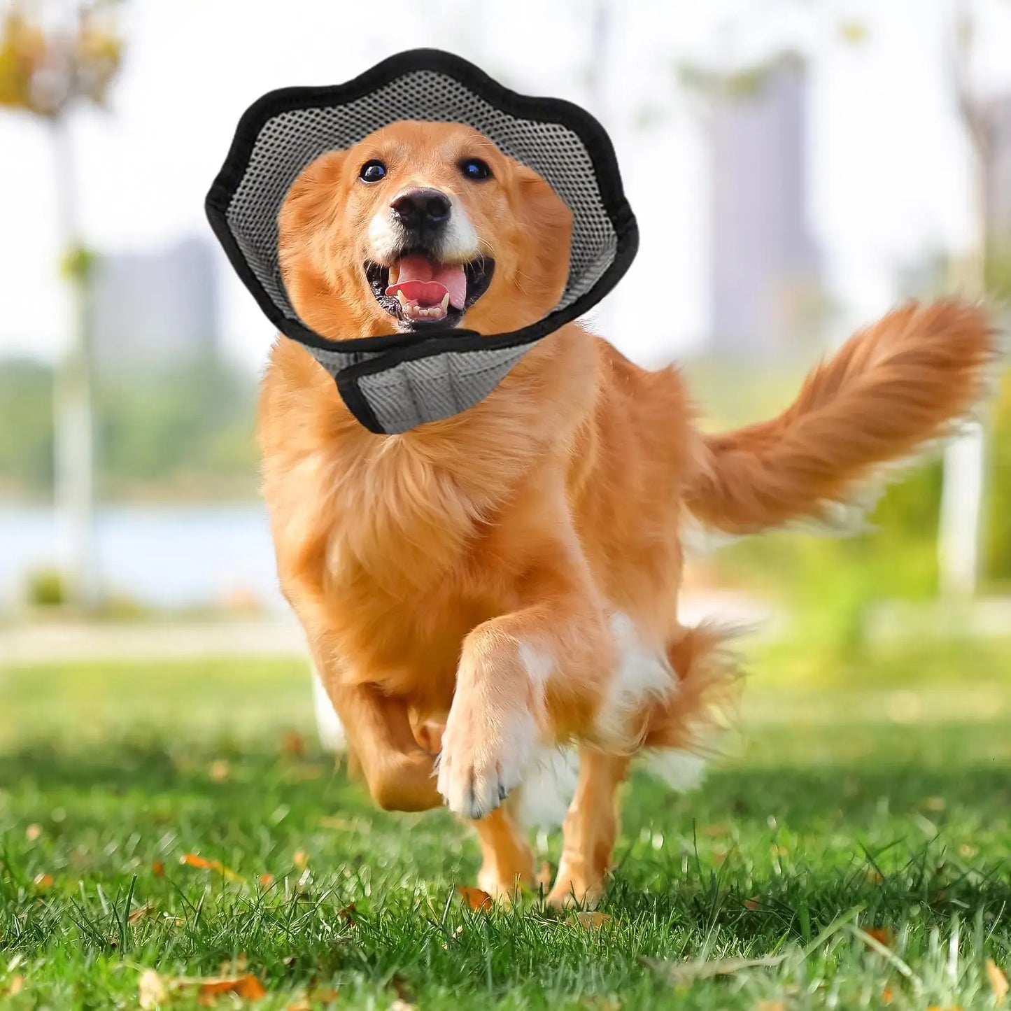 Soft Breathable Dog Recovery Cone Collar | Adjustable Pet Cone