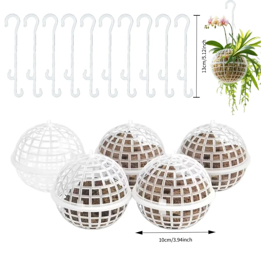 Wall-Mounted Moss Flowerpot Set for Succulents & Orchids