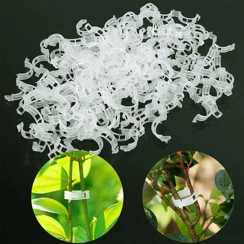 Plant Clips Supports Reusable Plastic Connects Fixing Vine Tomato Stem Grafting Vegetable Plants Orchard and Garden Tools Peaceful Pleasures Health and Wellness