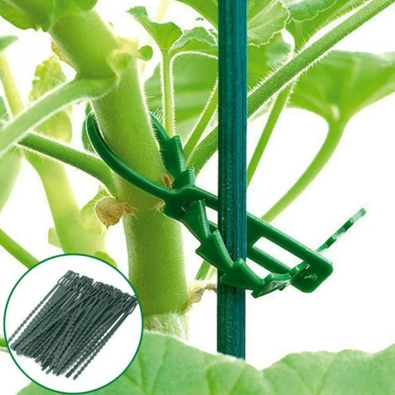 50pcs Adjustable Reusable Plastic Plant Ties | Garden Support Clips