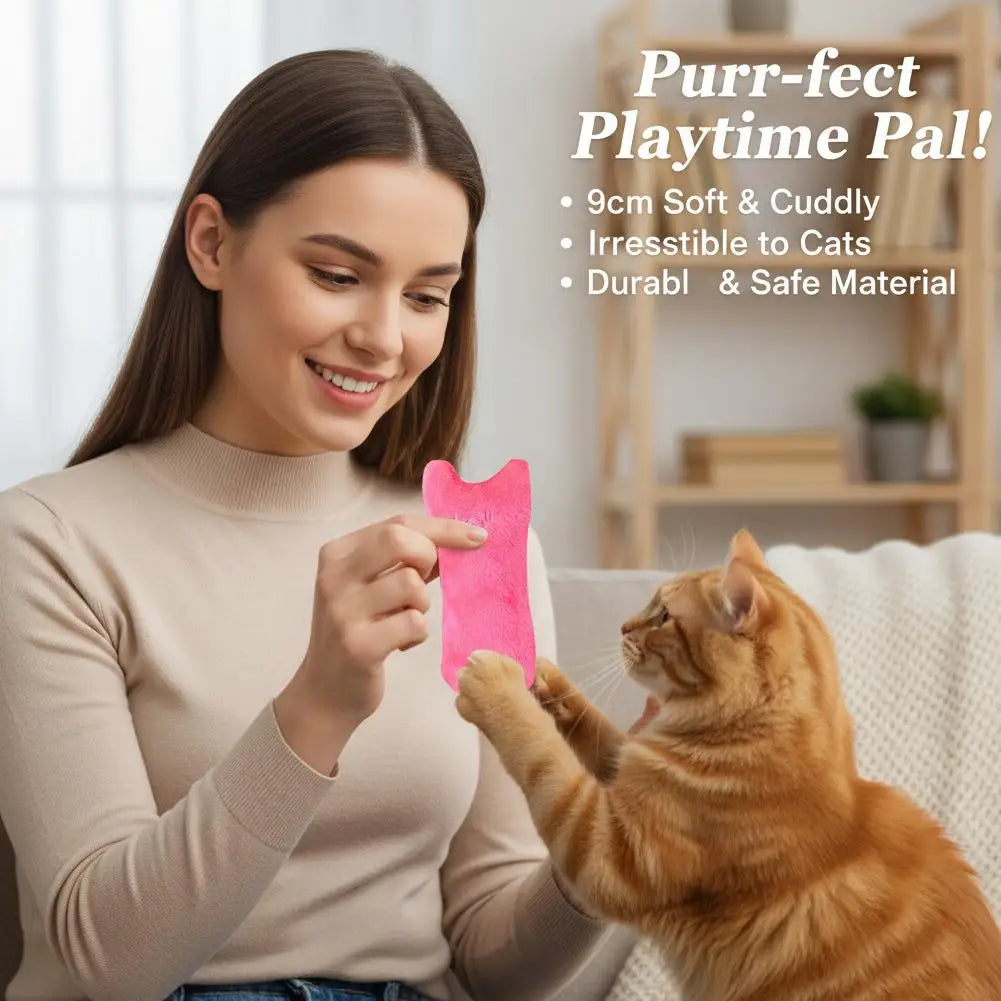 Catnip Crinkle Plush Cat Toy – Interactive Kitten Chew Toy
