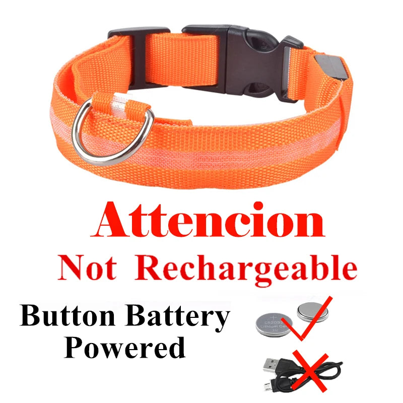 Colorful USB Rechargeable Pet Dog LED Glowing Collar Luminous Flashing Necklace Outdoor Walking Night Safety Supplies DC05 Peaceful Pleasures Health and Wellness Orange Battery XS(28-40cm)