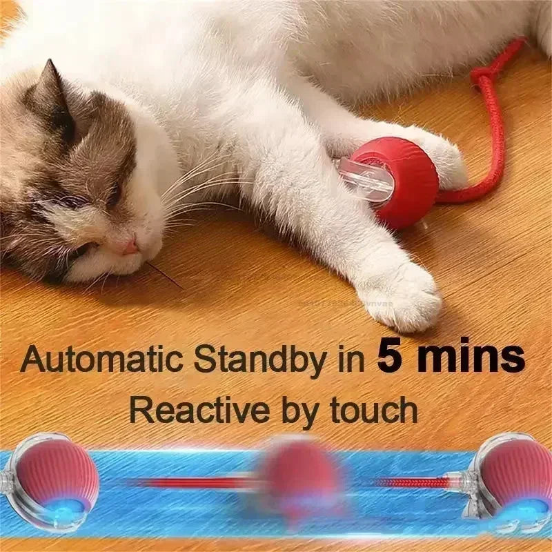 Automatic Rolling Interactive Cat Ball Toy – Rechargeable