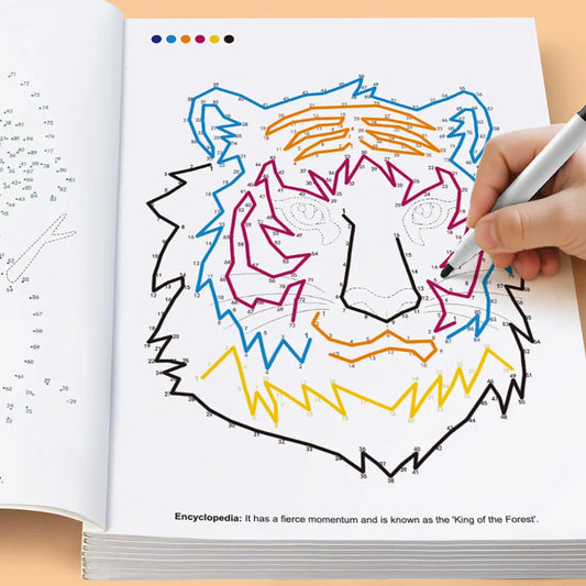 Maze Connection Coloring Book Student Stress Relief Puzzle Game Peaceful Pleasures Health and Wellness