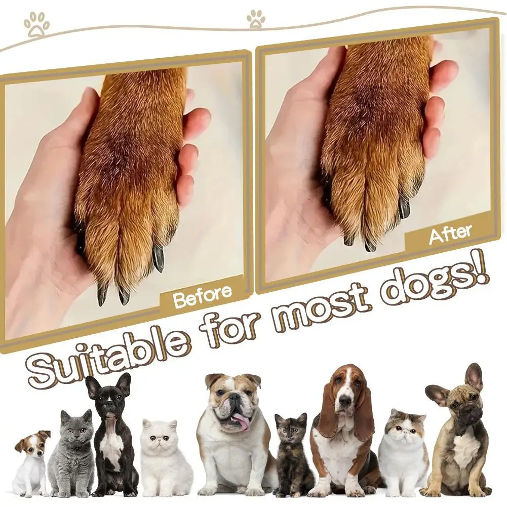 Handheld Pet Nail File & Smoother for Dogs & Cats | 4 Pads
