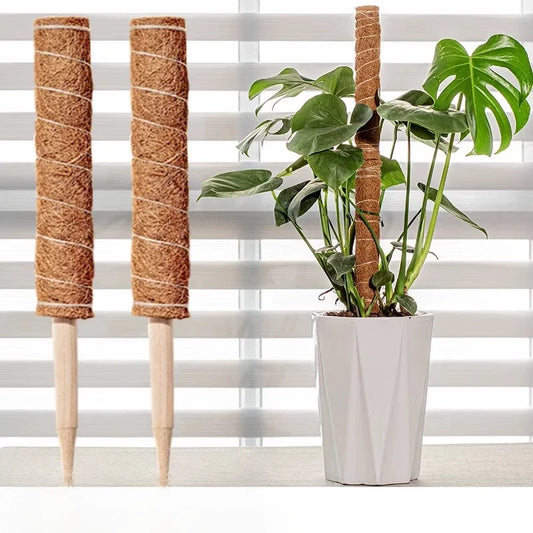 Green Basket Climbing Column Coconut Brown Rod Turtle Back Bamboo Support Rod Fixing Bracket Peaceful Pleasures Health and Wellness