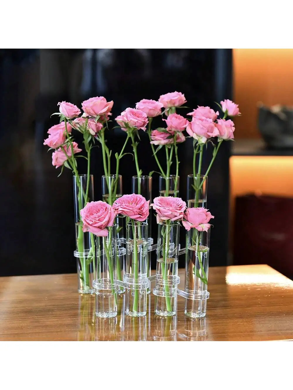 Glass Test Tube Hanging Vase Set | Hydroponics Home Decor