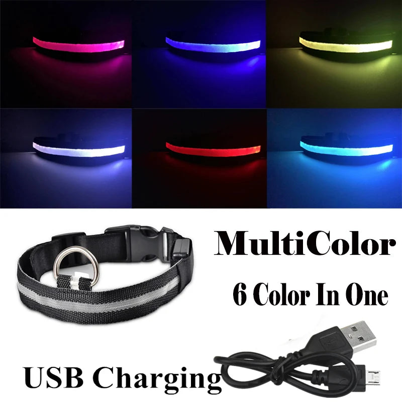 Colorful USB Rechargeable Pet Dog LED Glowing Collar Luminous Flashing Necklace Outdoor Walking Night Safety Supplies DC05 Peaceful Pleasures Health and Wellness Mutiucolor USB XS(28-40cm)
