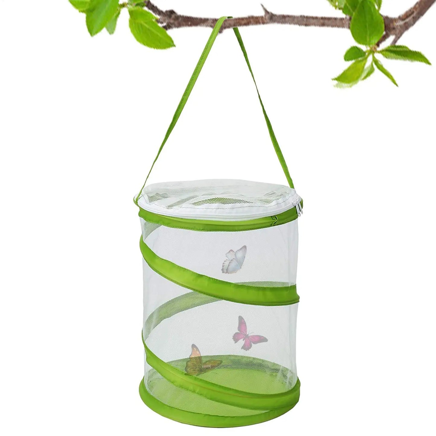 Foldable Butterfly & Caterpillar Mesh Habitat Cage | Insect Net