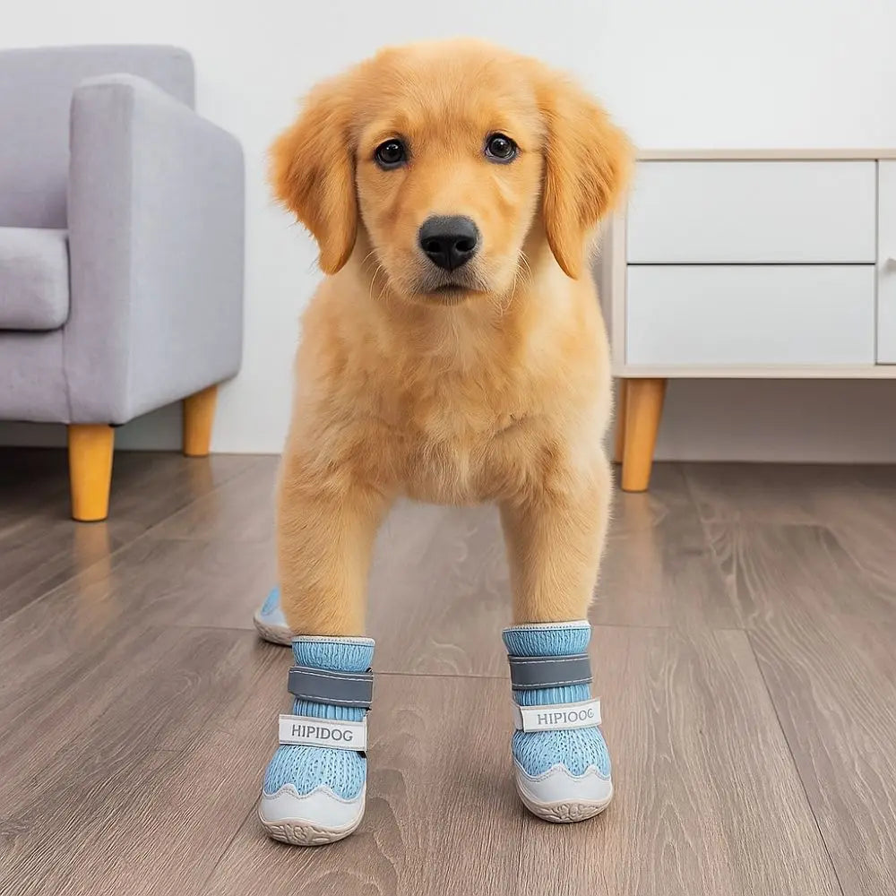 Adjustable Dog Mesh Shoes | Breathable Anti-Slip Paw Protectors