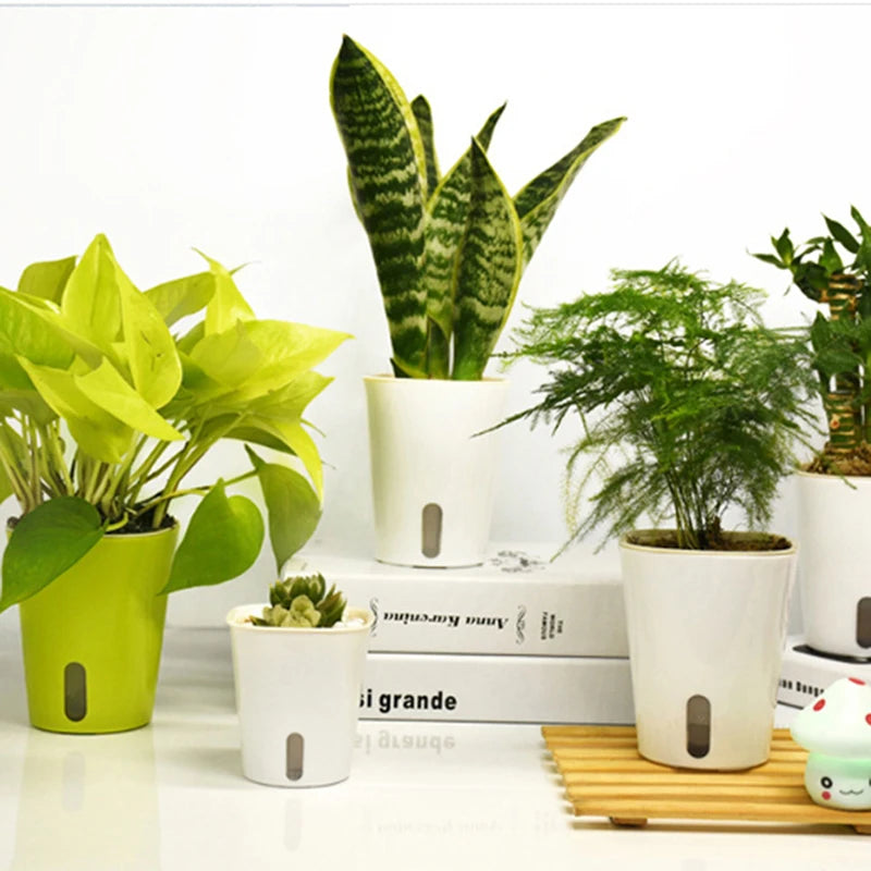Mini Self-Watering Planter Pot | Indoor Garden Plant Pot