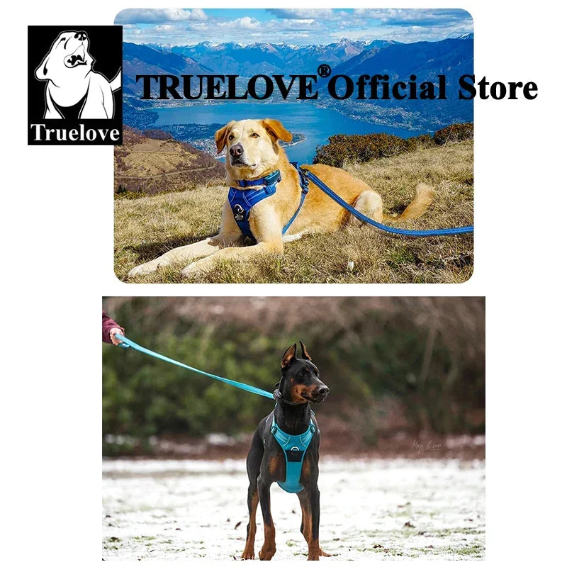 Truelove Pet Harness+Pet Leash Set Rope 110cm/200cm All-in-one Reflective Dog Harness No Pull Adjustable Buckles Dropshipping Peaceful Pleasures Health and Wellness