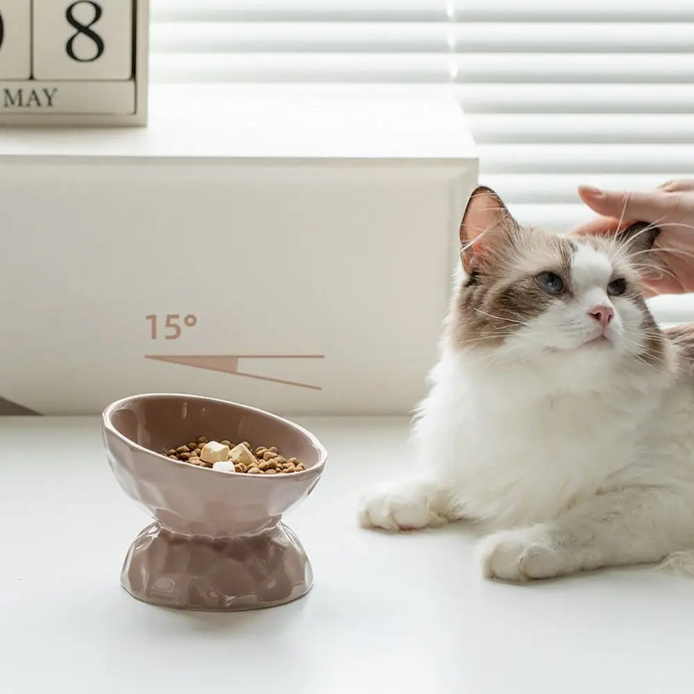 Ceramic Pet Bowl – Non-Slip Slanted & Flat Feeder for Cats & Dogs