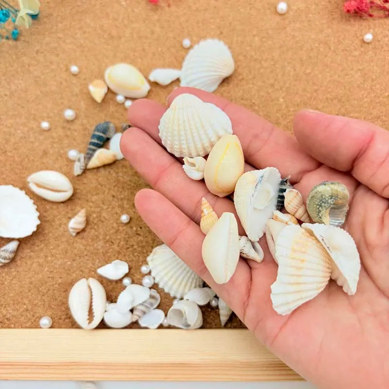 Resin Simulation Pearls & Shells Mix – DIY Craft & Home Décor