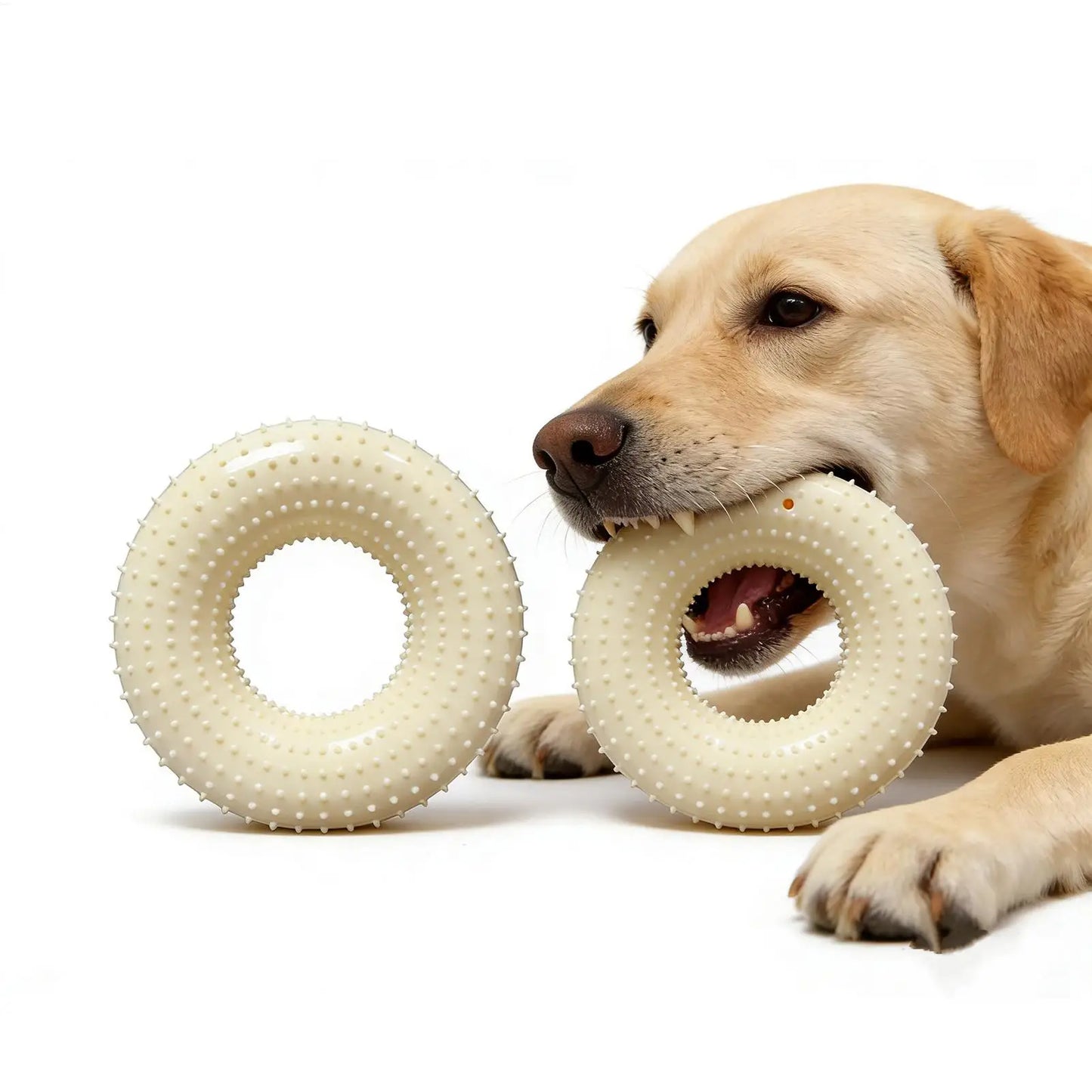 Durable Rubber Dog Chew Ring Toy | Teething Puppy & Play