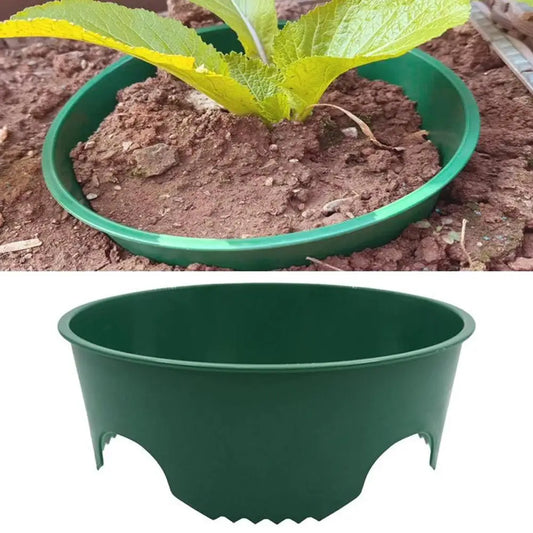 Green Plastic Plant Support Ring – Seedling Pot Holder 22cm Plant Support Ring Oasis Select