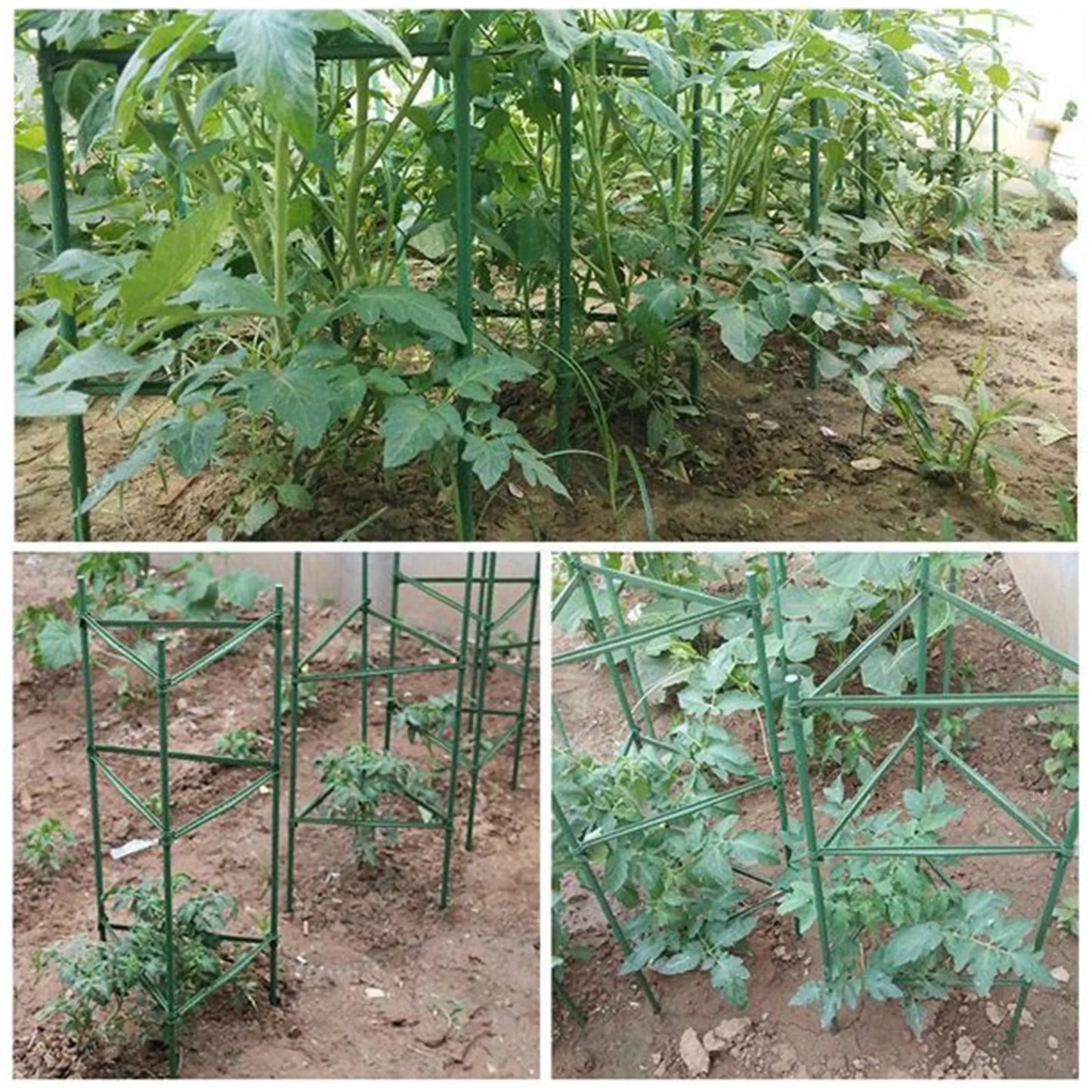 24pcs Garden Vegetable Stakes Plant Cages To Support Plant Growth Anti Overturning Tomato Cages For Vertical Climbing Of Plants Peaceful Pleasures Health and Wellness