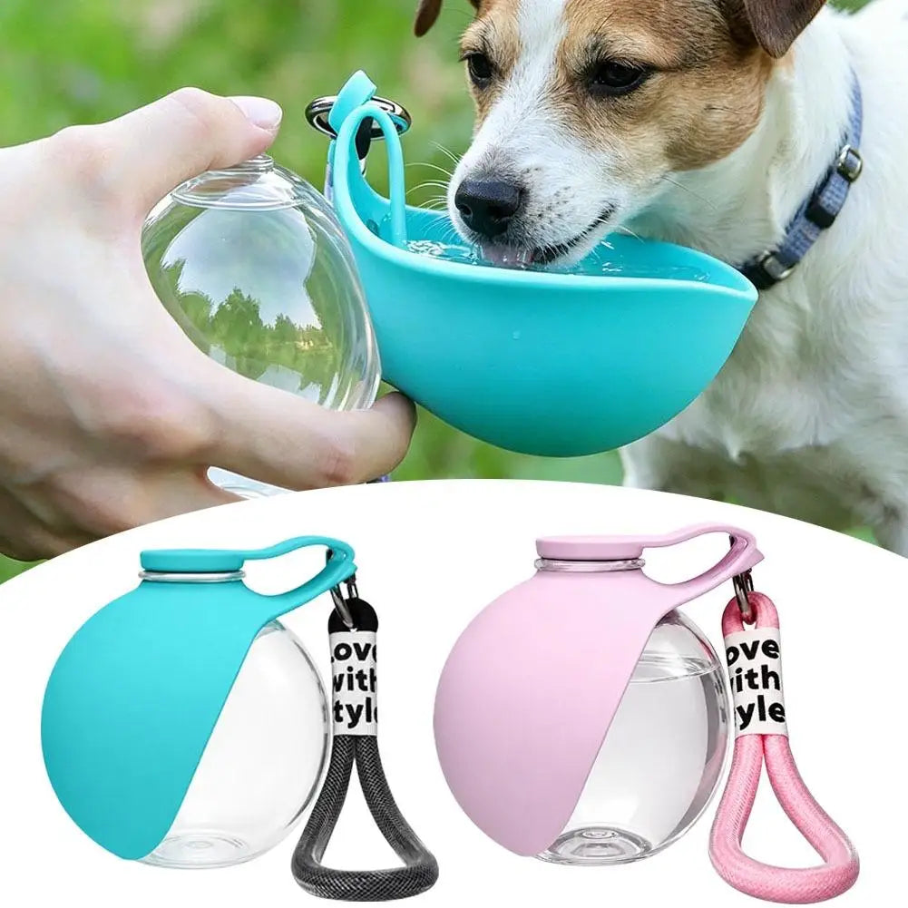 2-in-1 Portable Dog Water Bottle with Collapsible Silicone Bowl