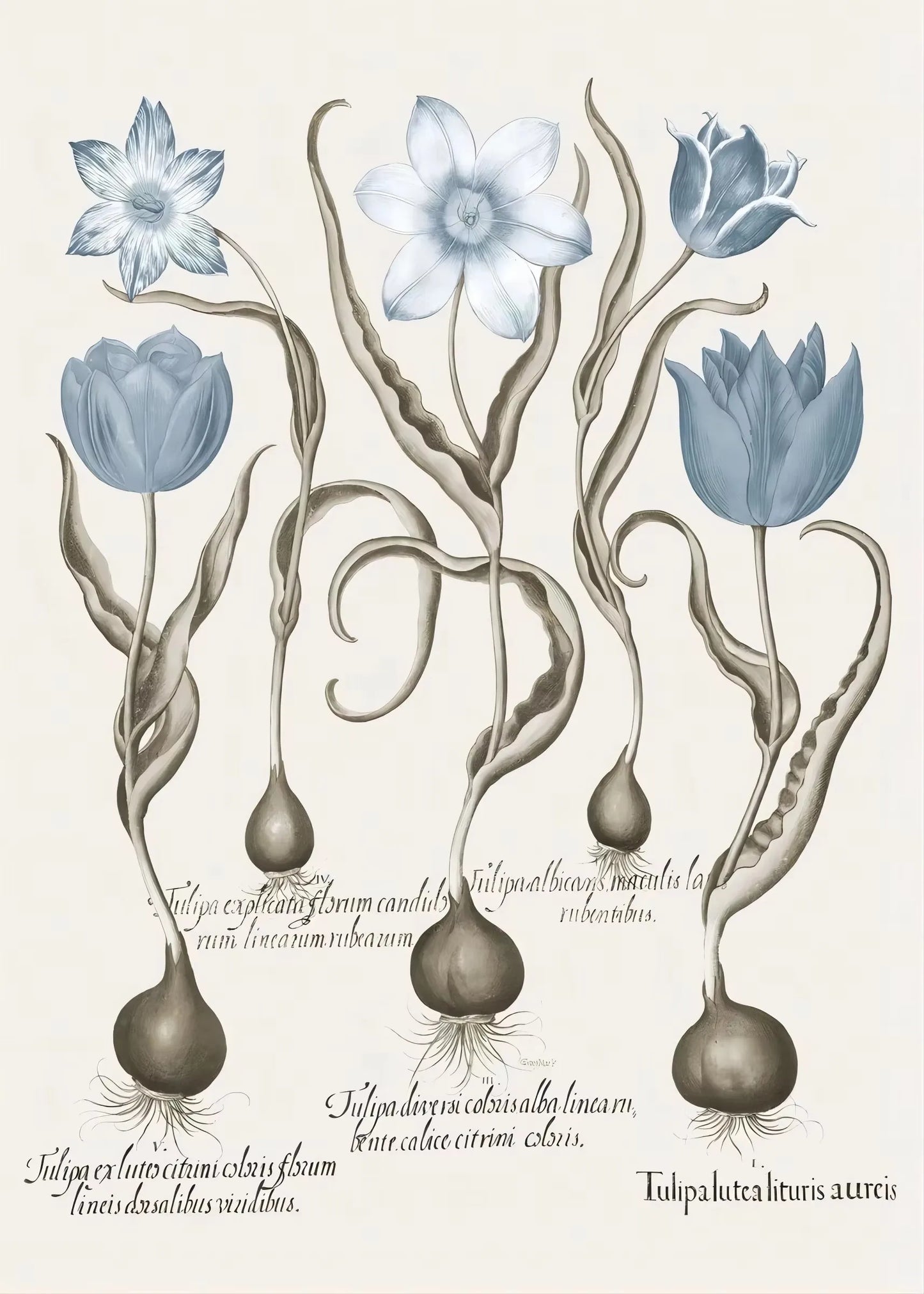 Retro Abstract Blue Various Flower Seedlings Root Green Leaves Poster Canvas Painting Wall Art Pictures Living Room Home Decor Peaceful Pleasures Health and Wellness green 55x75cm
