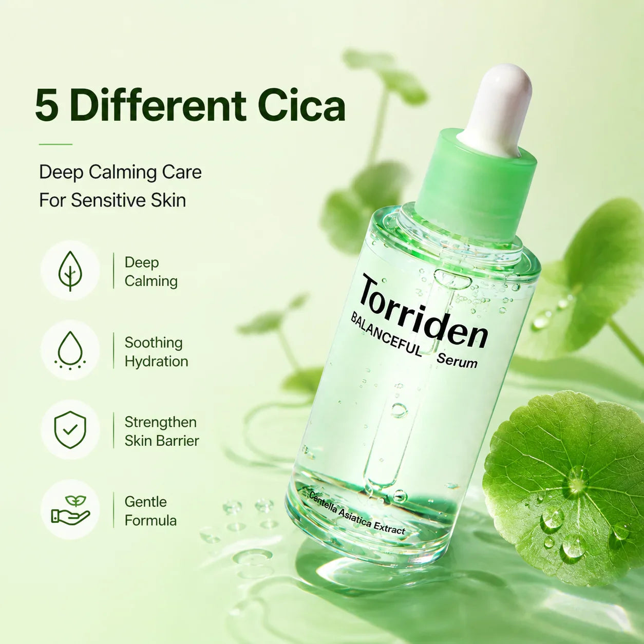 Torriden DIVE-IN Hyaluronic Acid Serum 50ml | Korean Skincare