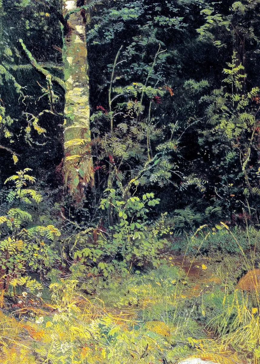 Ivan Shishkin Landscape Canvas Wall Art Print | Unframed