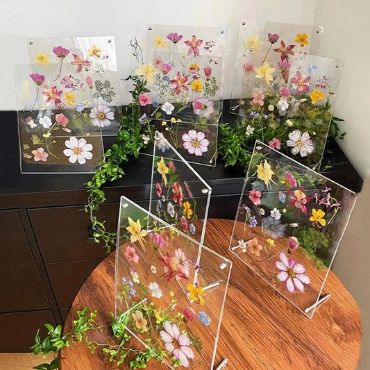 Acrylic Pressed Flower Frame | Floating Keepsake Picture Frame Pressed Flower Frame Peaceful Pleasures Health and Wellness