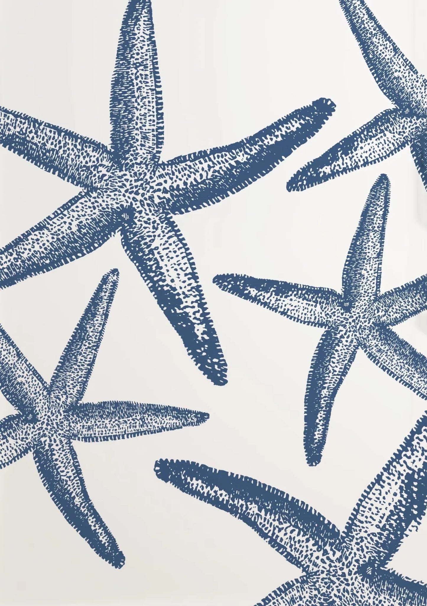 Blue Coastal Sketch Canvas Wall Art – Starfish Jellyfish Print