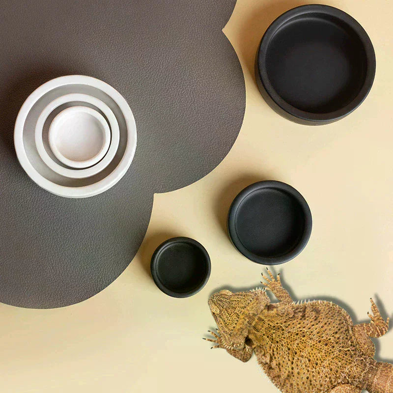 Ceramic Reptile Feeder Bowl – Anti-Escape Dish for Geckos & More
