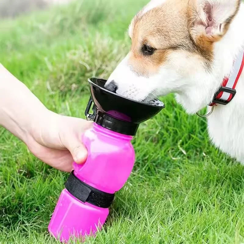 500ml Portable Pet Water Bottle – Leak-Proof Travel Cup for Dogs