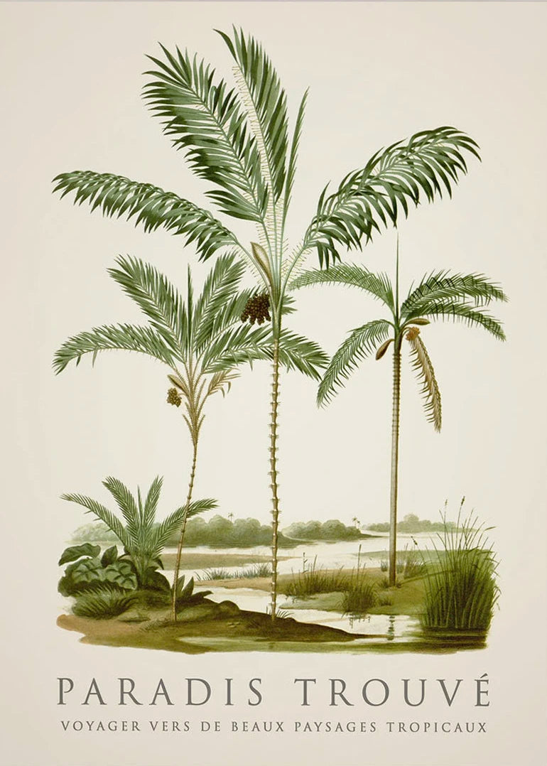Tropical Palm & Banana Tree Vintage Botanical Canvas Wall Art Botanical Canvas Print Peaceful Pleasures Health and Wellness 18 20x30cm
