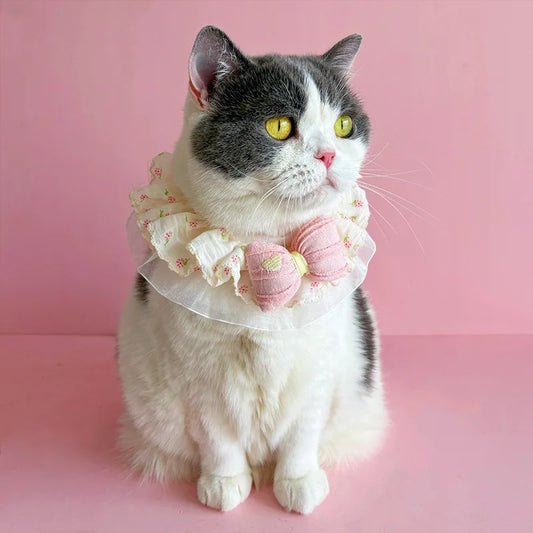 1pc Autumn Dog Scarf Rustic Style Pet Scarf Cute Princess Style Cat Scarf Drool Towel Lace Bow Peaceful Pleasures Health and Wellness
